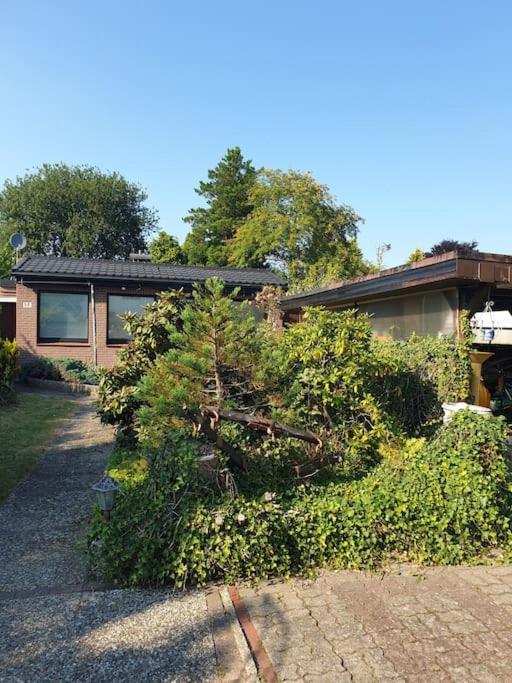 Apartment 3-zimmer / Wlan / Garten / Parkplatz